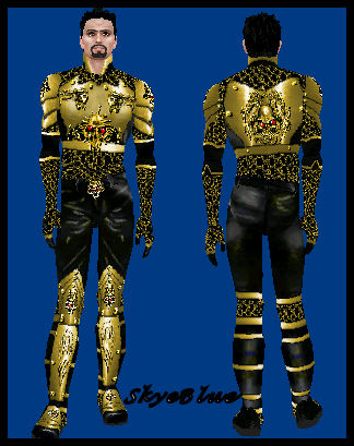 sk_gold_armor.jpg